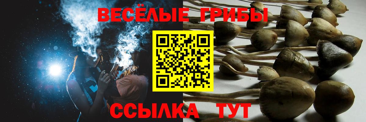 ТГК Владивосток